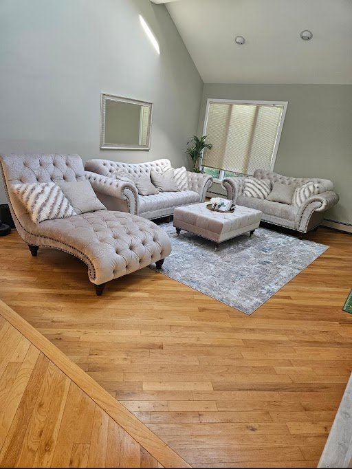 Professional home cleaning